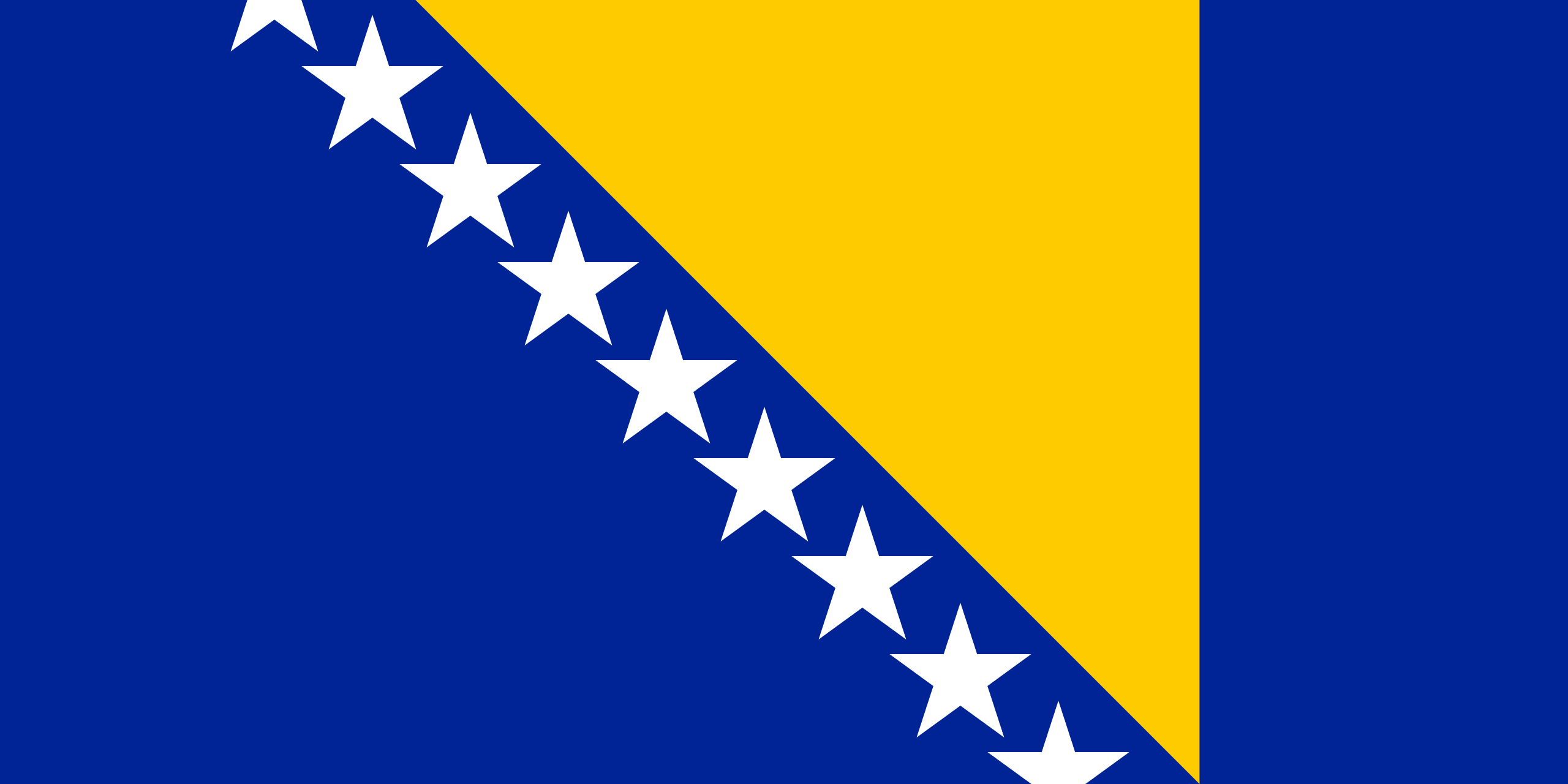 ボスニア・ヘルツェゴビナ flag